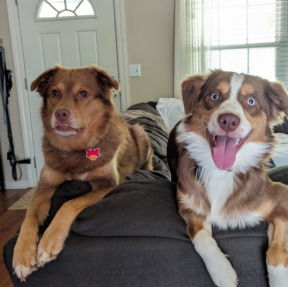 Meet your Posher, Katie - Picture 6 of 6